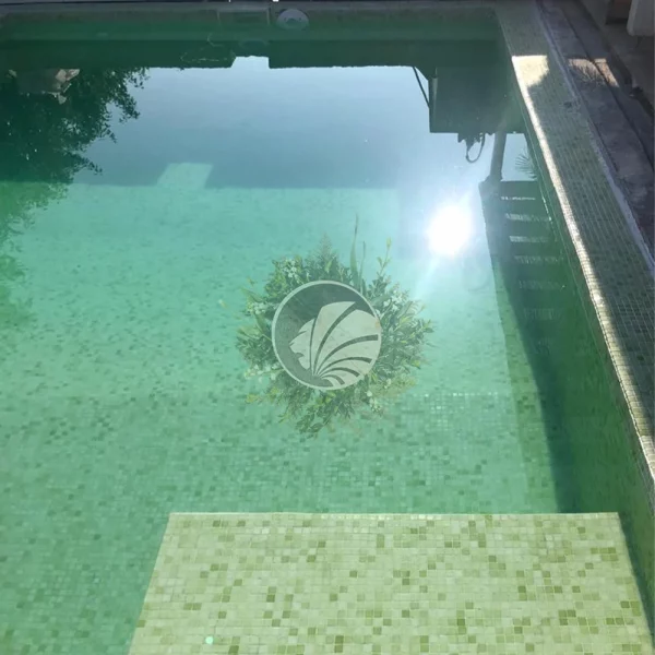 piscina névoa verde pistache 211