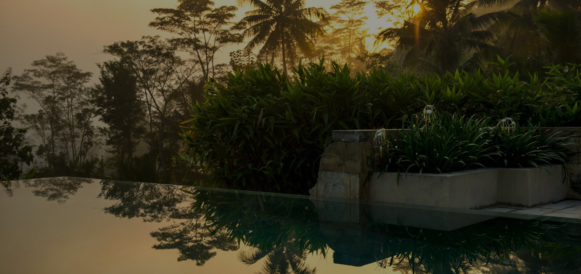 Banner Bg