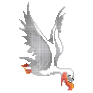 Albatroz